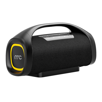 60W Bluetooth Speaker WBS-B300