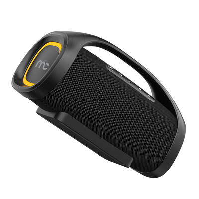 60W Bluetooth Speaker WBS-B300